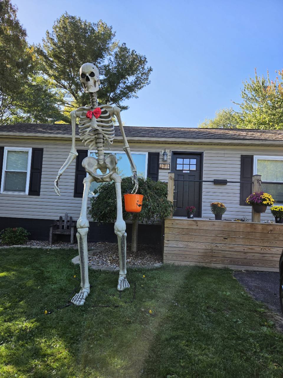 Seasonal Halloween skeleton decoration on the front lawn at The Oasis of Massillon